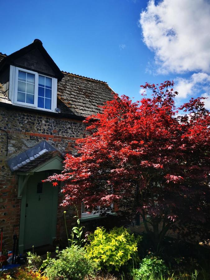 Historic, Traditional & Spacious Wiltshire Cottage Shrewton Eksteriør bilde